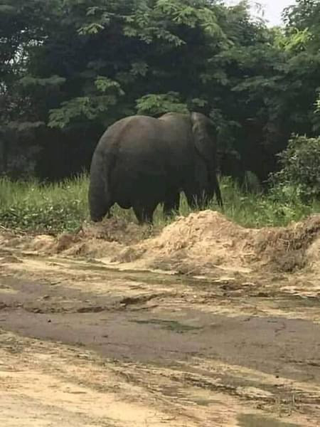 WhatsApp Image 2022-11-24 at 1.17.00 PM