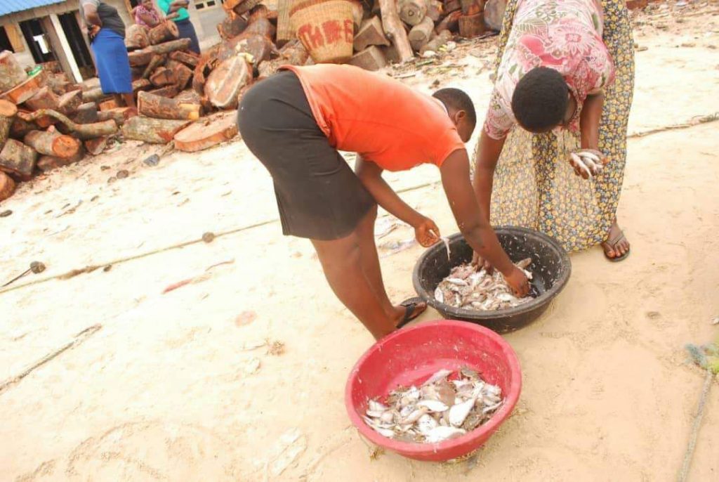 SHOWCASING THE RICH CULTURE OF THE ANDONI PEOPLE